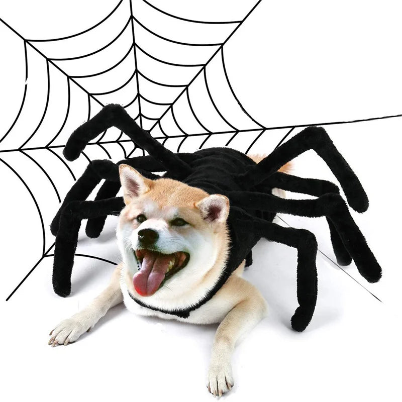 Halloween Spider Pet Costume Chest Back Design Festival Cosplay Transformation Outfit for Cats Small Medium Dogs Puppy